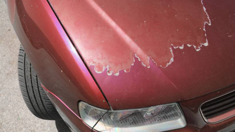 A red car with peeling paint on the hood, revealing the primer underneath. - car respray cost