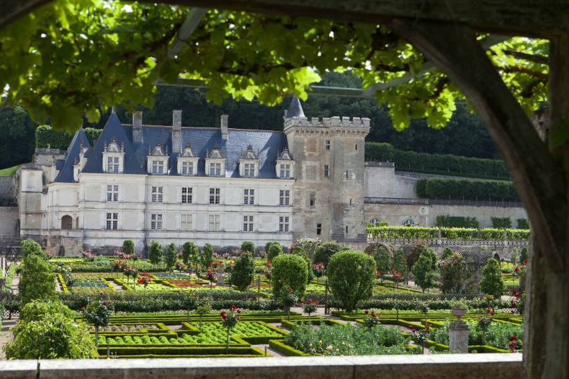 French garden vs English garden - Château de Villandry and its garden