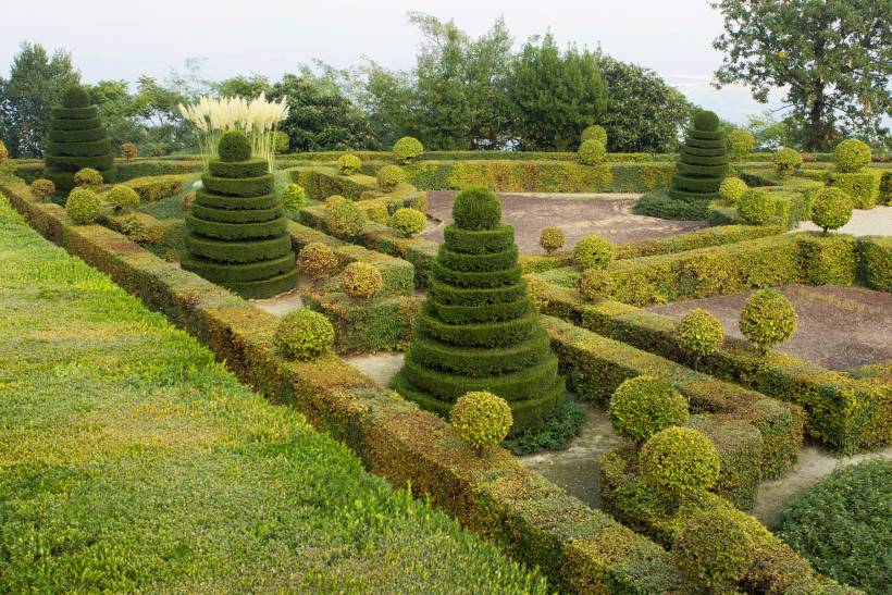 French garden vs English garden - a garden with geometrically trimmed hedges and trees