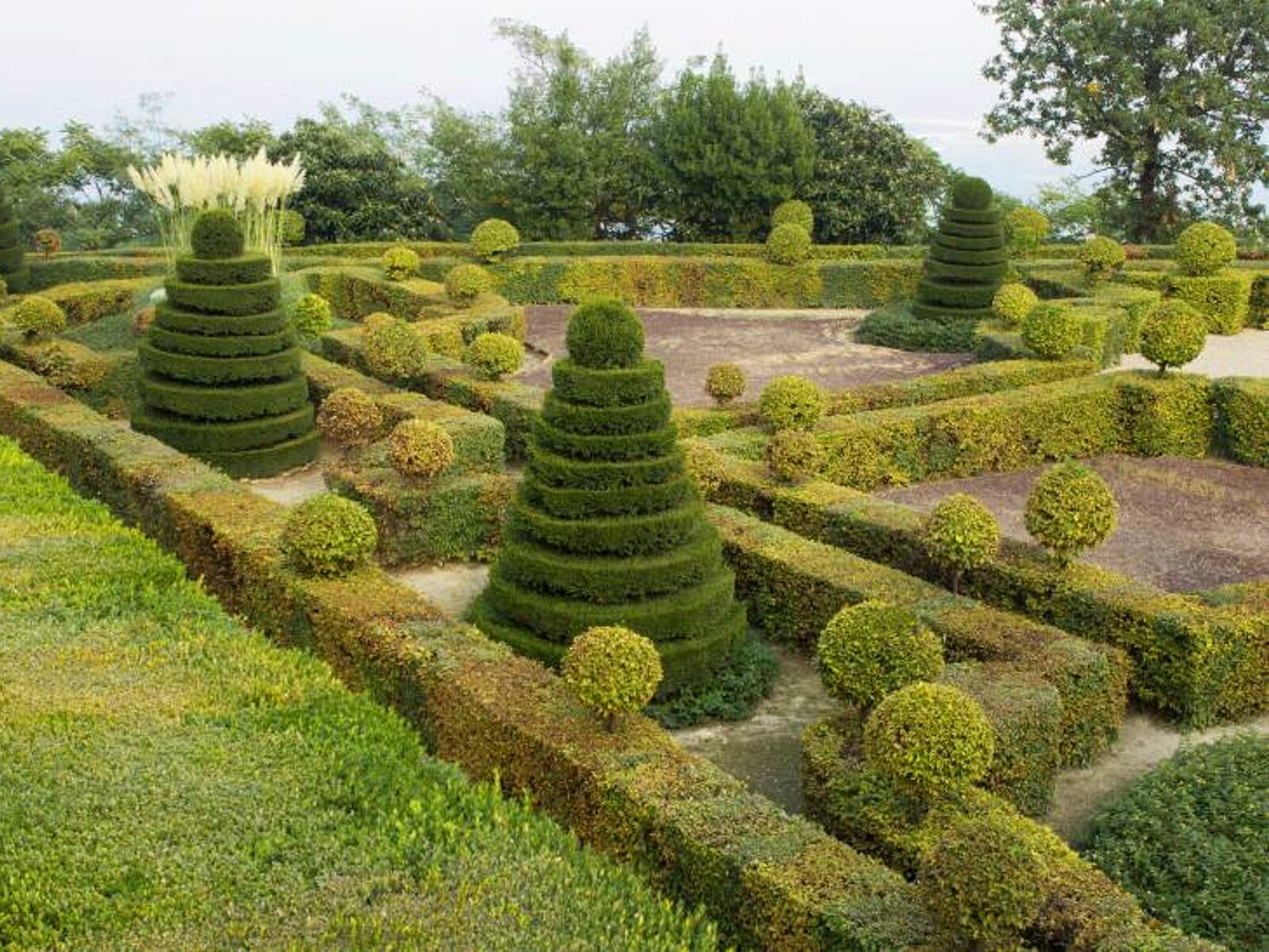 French Garden Plan Traditional Garden And Parterre Shoot