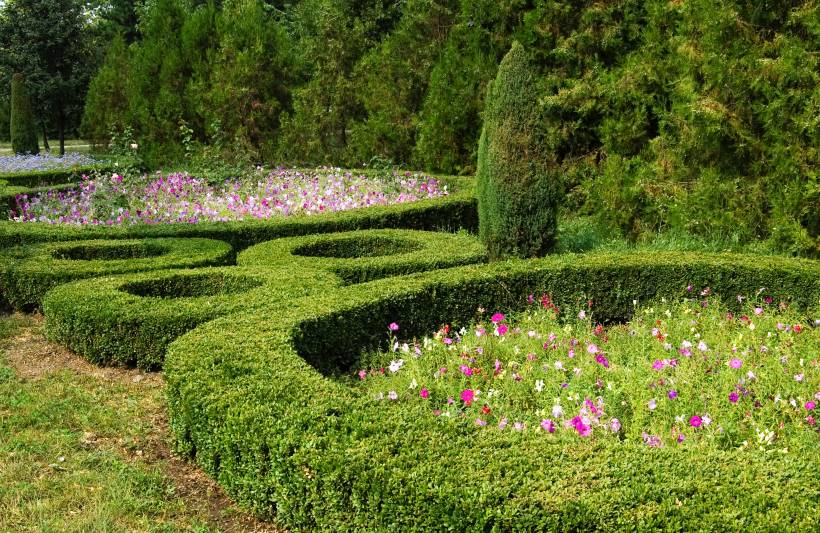 French garden vs English garden - a garden of flowers within circular hedges