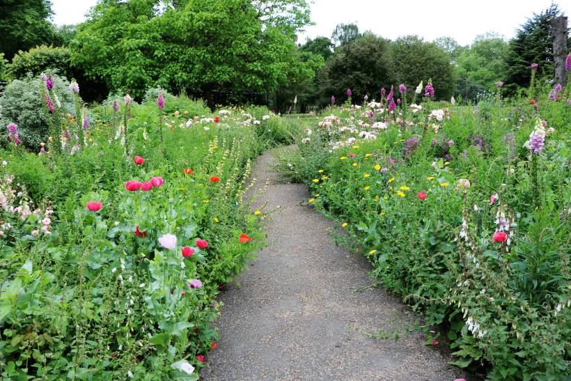 French garden vs English garden - a garden path surrounded by pink, purple, and red flowers