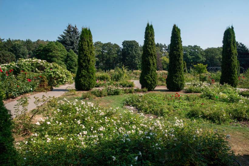 French garden vs English garden - A garden with winding paths and blooming flowers