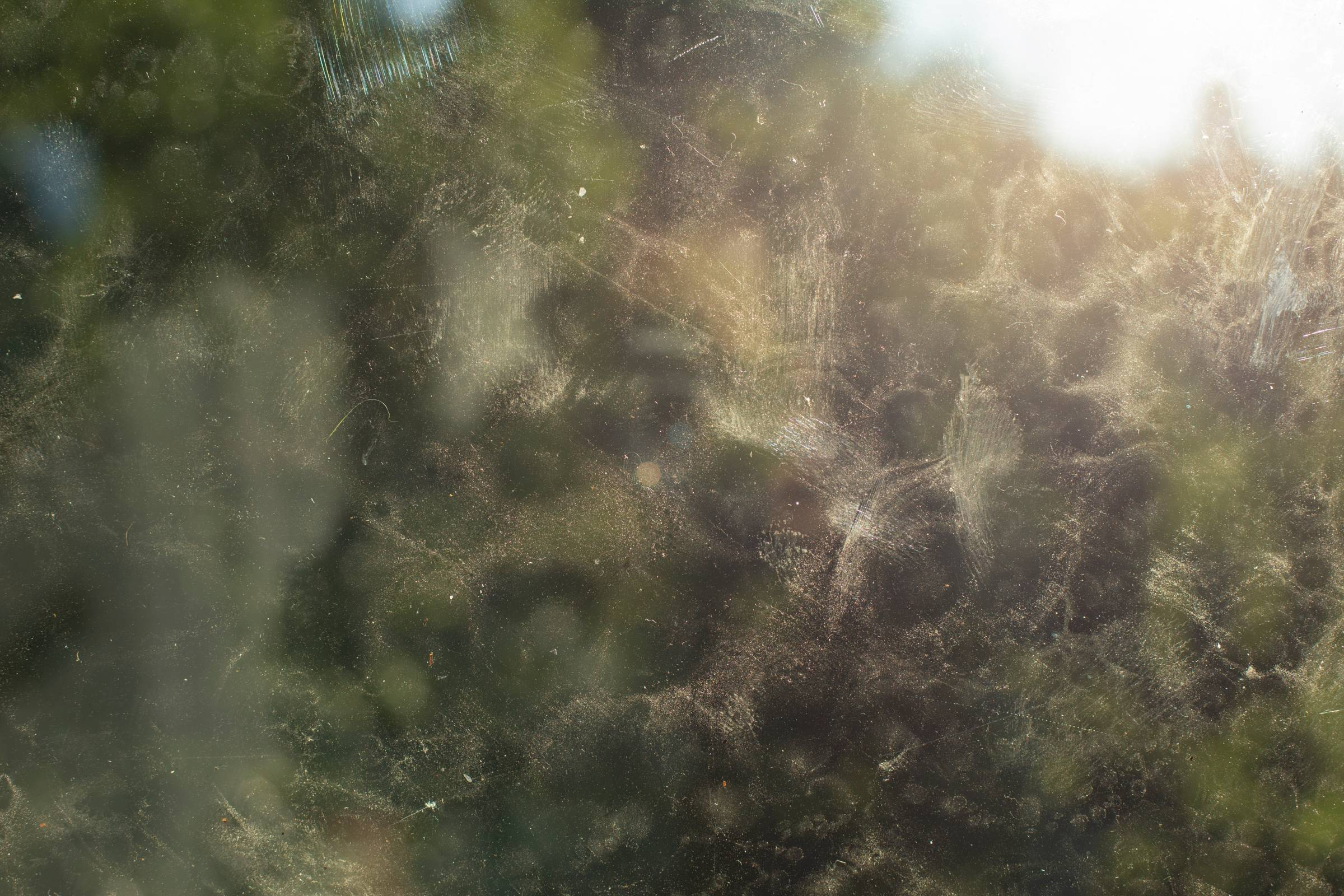 dirty conservatory glass