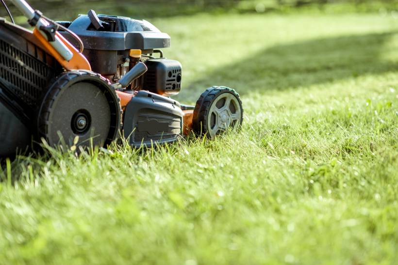 grass trimmer vs lawn mower - Close-up of a lawn mower cutting tall green grass in a yard