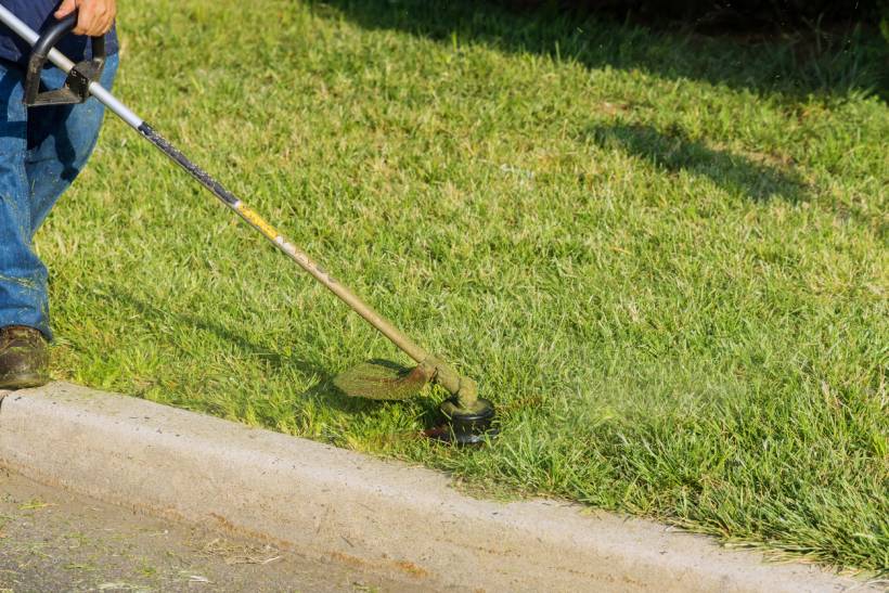 grass trimmer vs lawn mower - Close-up of grass edging with a trimmer on a sunny day