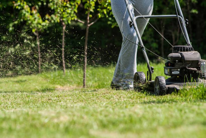 grass trimmer vs lawn mower - Person mowing grass with a push lawn mower on a sunny day