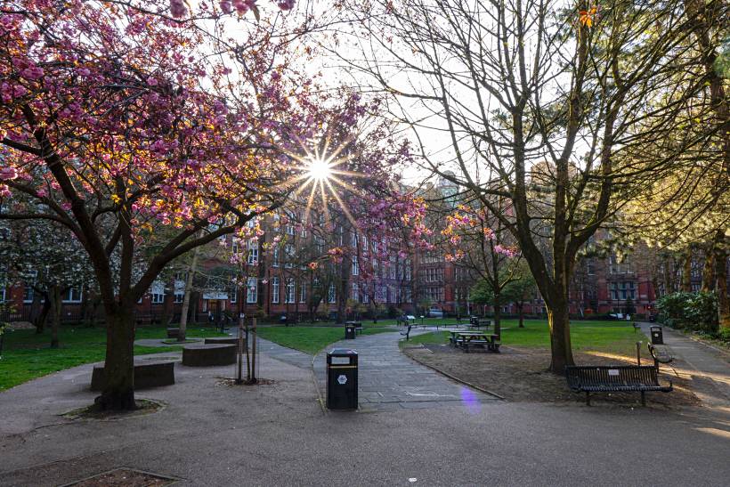 Urban park in spring with benches and walking paths, highlighting outdoor spaces when moving to Manchester