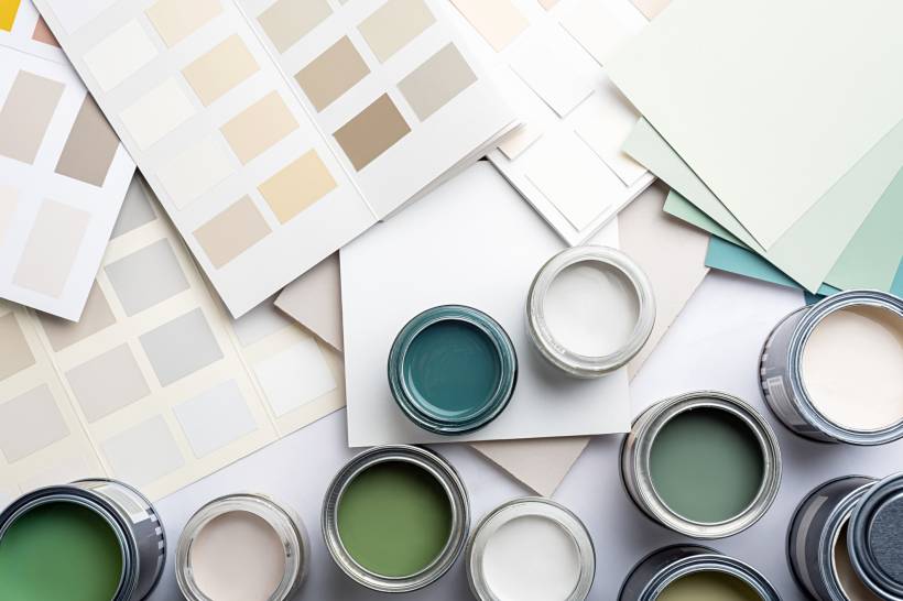 Dulux Warm Pewter vs Chic Shadow - Dulux Warm Pewter and Chic Shadow paint tones among neutral and green samples