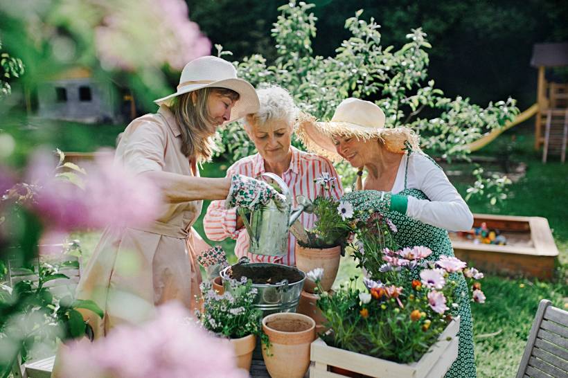 gardening for the elderly - Elderly women planting and watering potted flowers in an outdoor garden setting