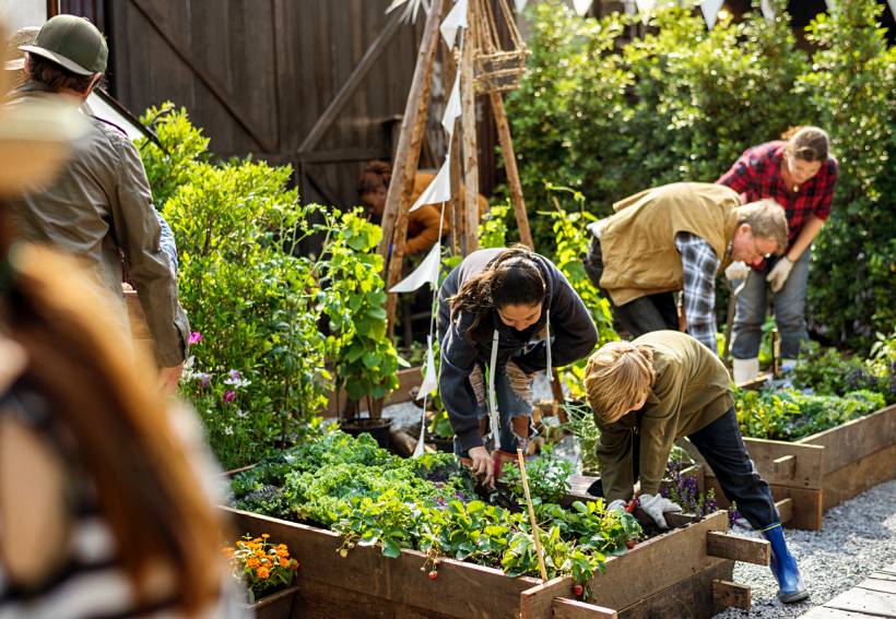 gardening for the elderly - Community garden scene with adults and children planting and weeding together