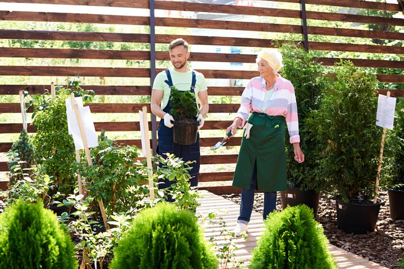 gardening for the elderly - Senior woman and young man gardening together among potted shrubs and plants
