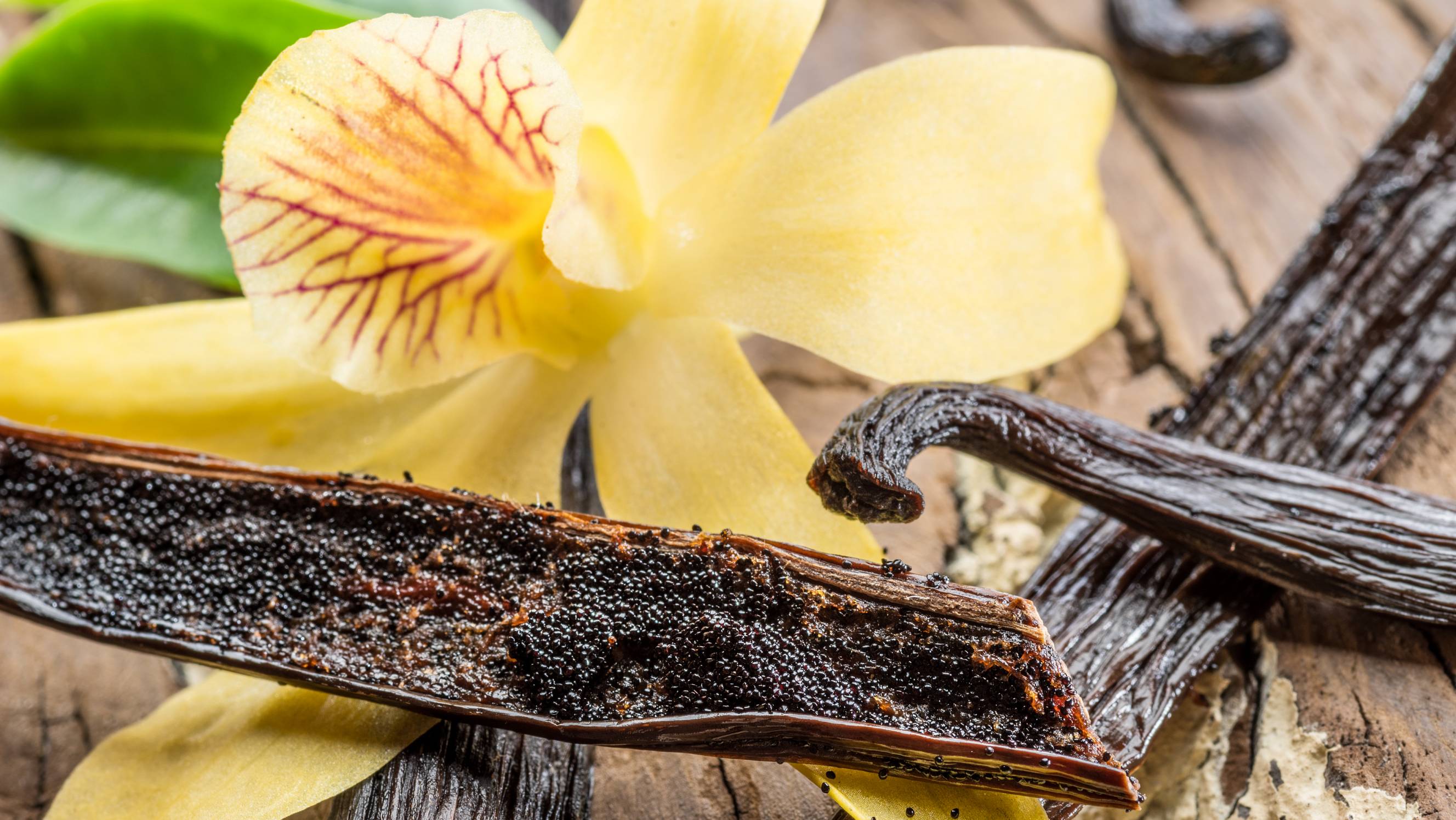 Vanilla fruit pods with seeds and yellow vanilla orchid flower on a wooden surface