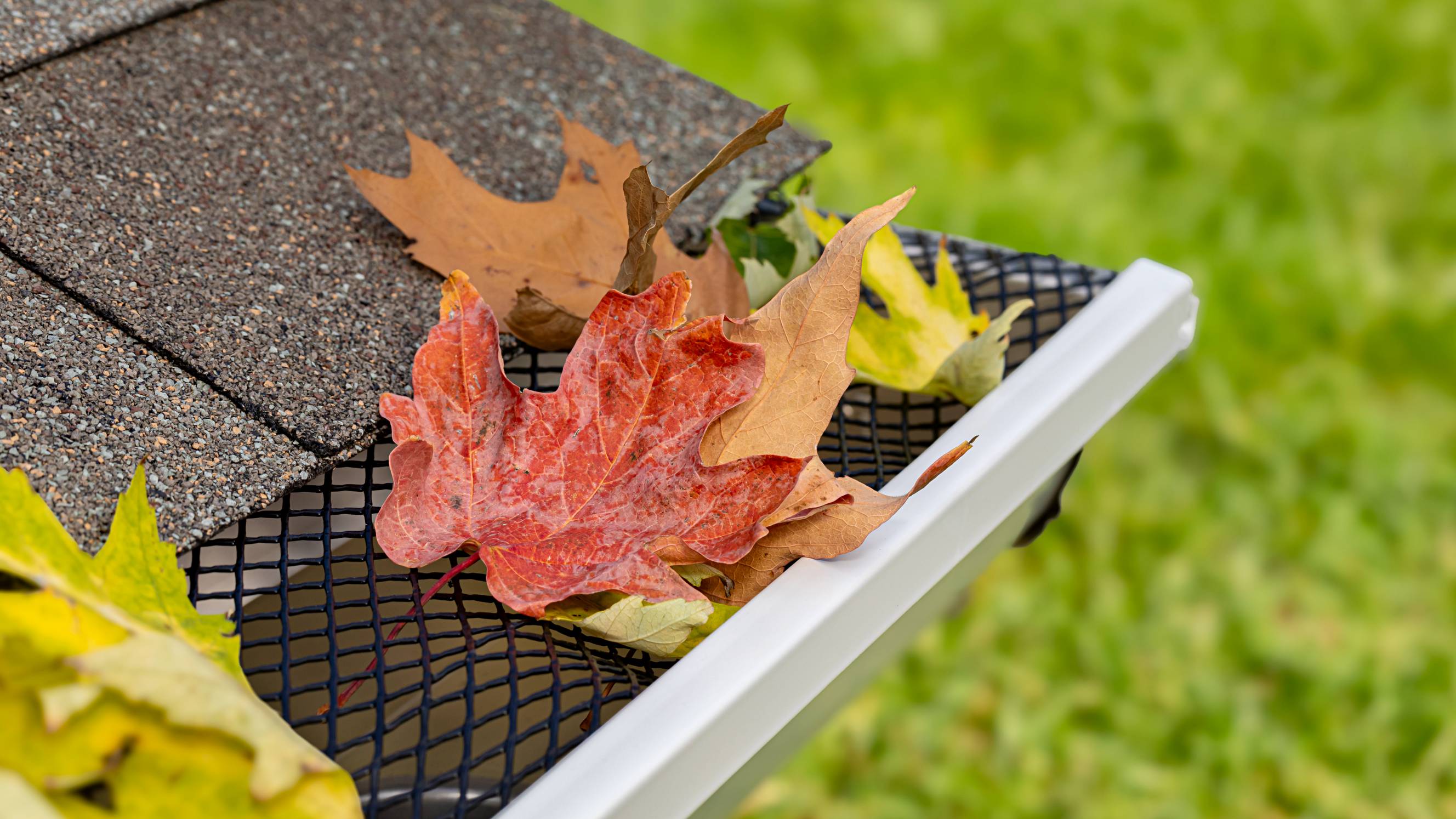 mesh screen keeping leaves from entering gutters