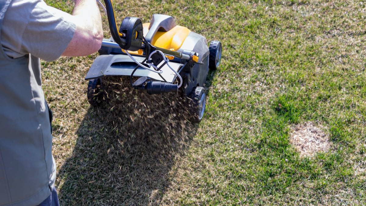 Cost to on sale aerate lawn