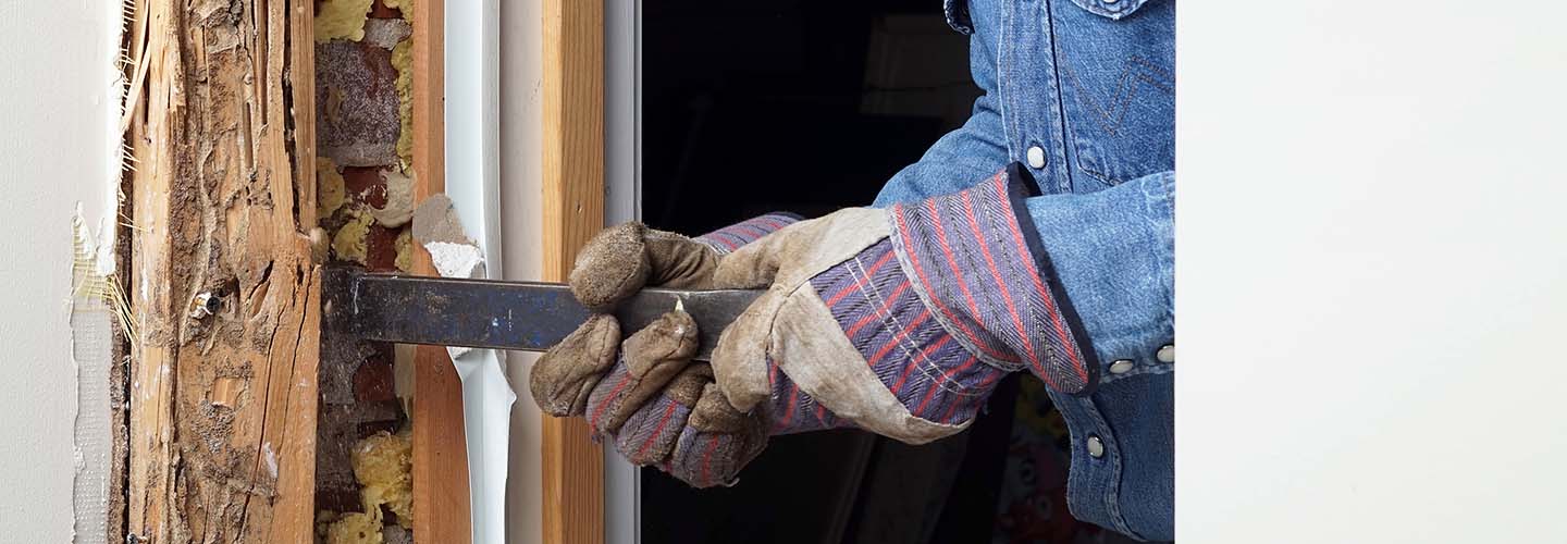 A close-up photo of a wooden surface with visible signs of rot, showing the need for treatment and repair.