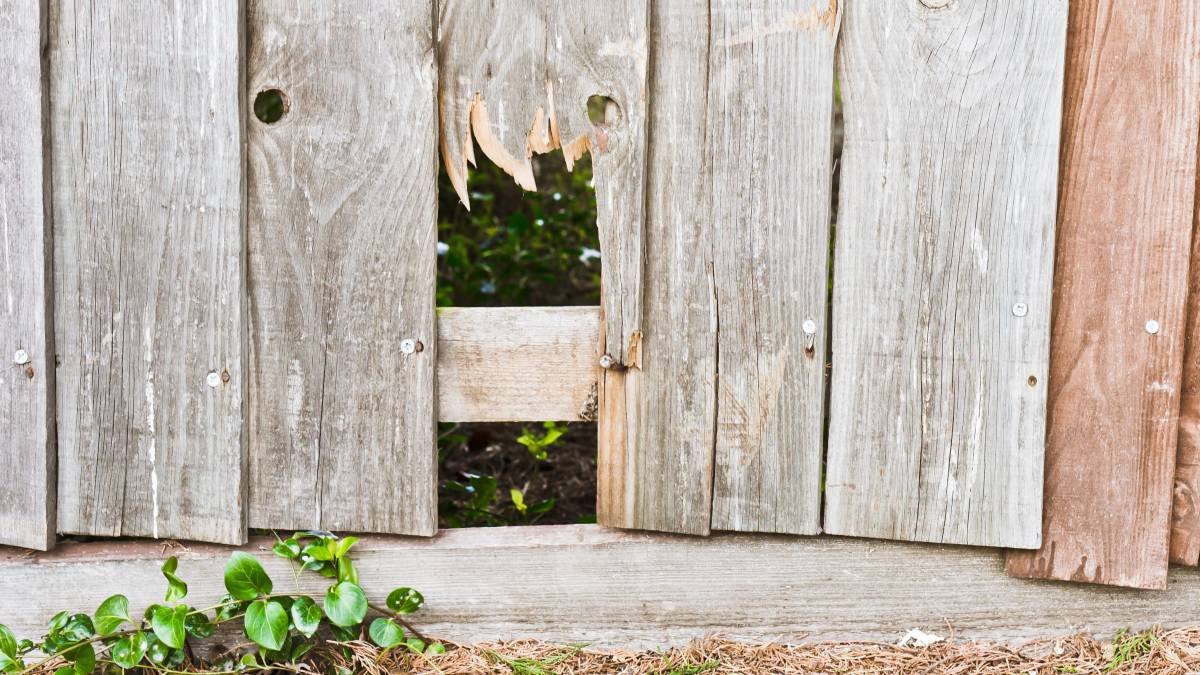 a damaged wooden fence