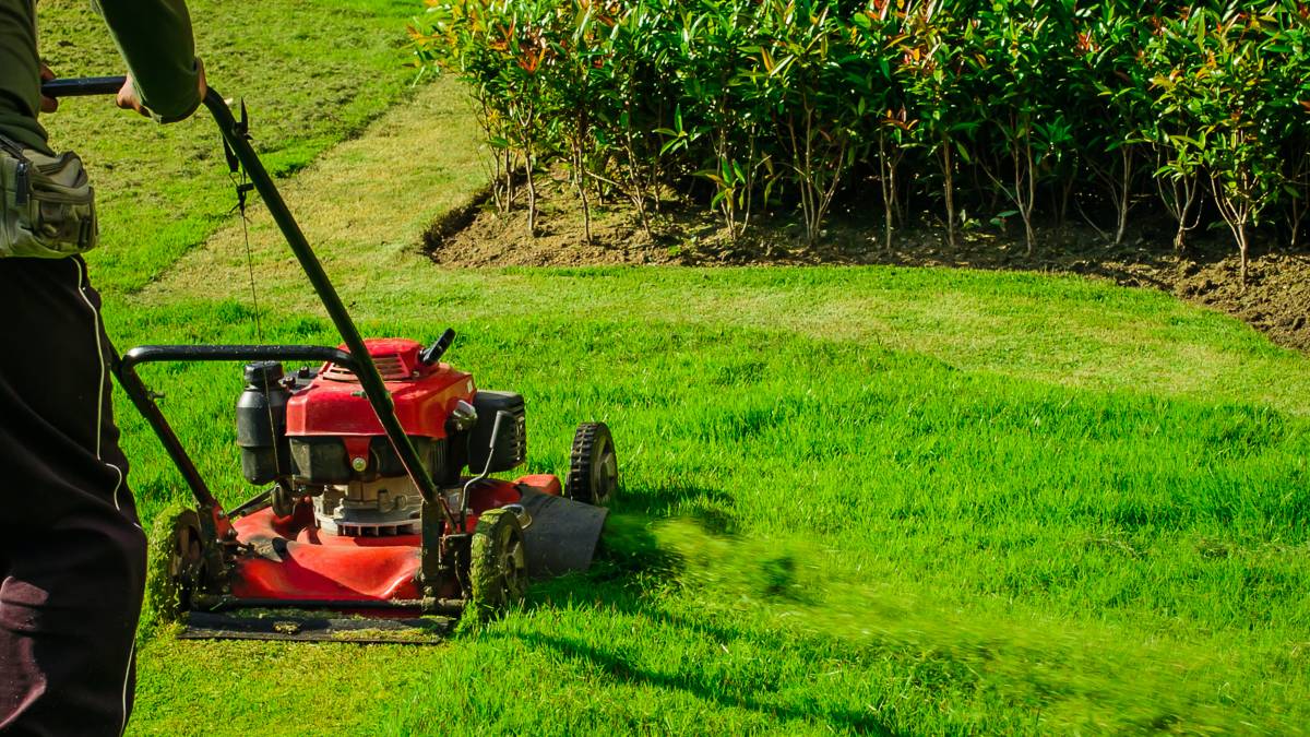 a closeup photo of a gardener mowing a lawn