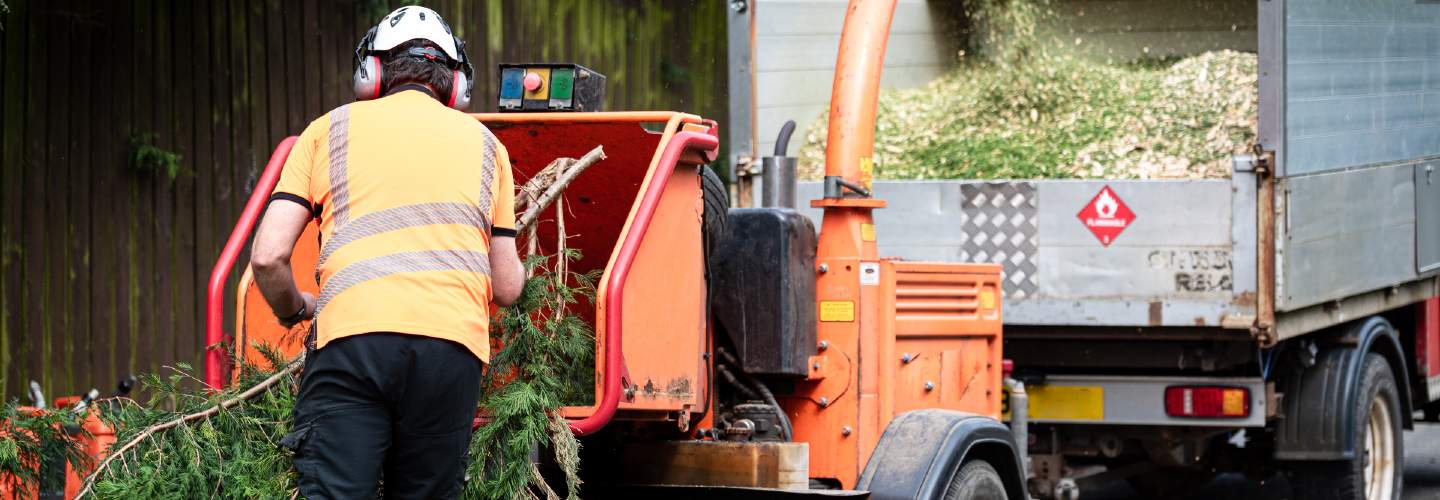 A tree being run through a wood chipper.