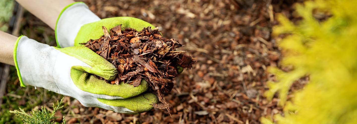 A person spreading mulch in a garden bed, distributing the the dark brown organic material around plants and flowers.