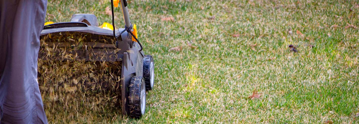 A person using a machine to aerate a lush green lawn, creating small holes in the soil to promote healthy grass growth.