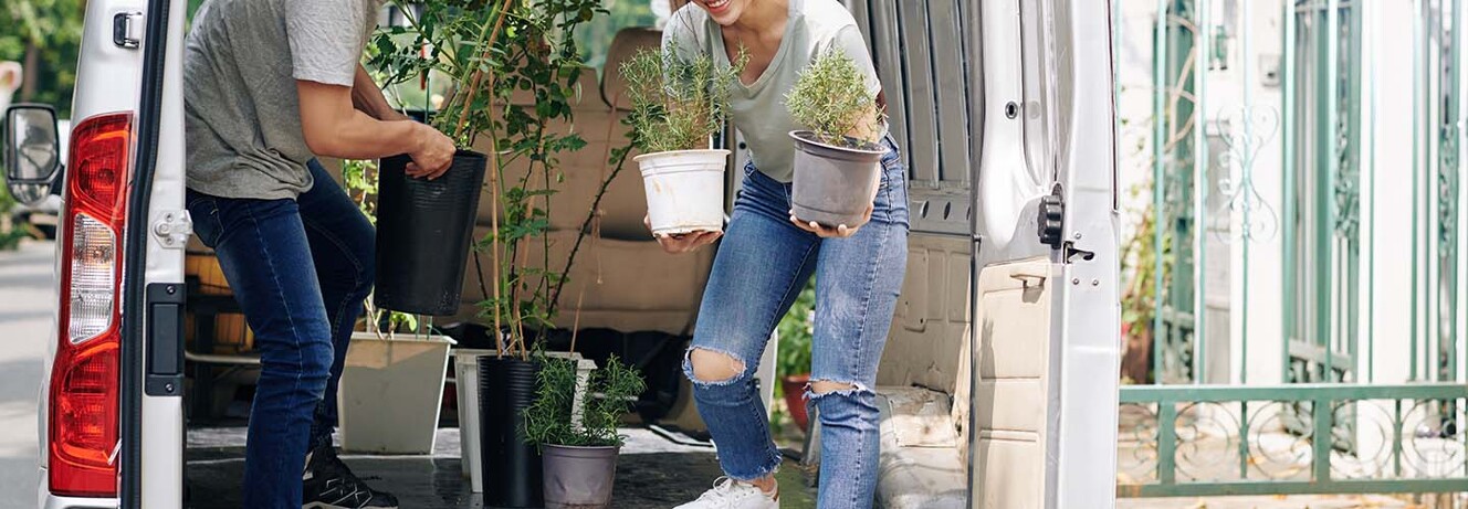 Plant Delivery Service near you | Airtasker SG