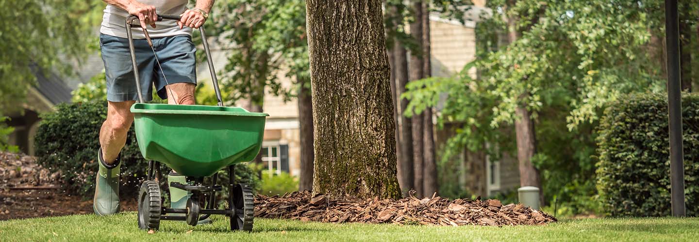 A person pushing a wheelbarrow in a sunny backyard surrounded by green grass and trees.