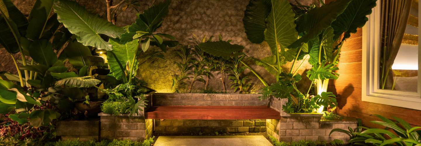 A beautifully lit landscape at night, with soft glowing lights highlighting trees, plants, and pathways.