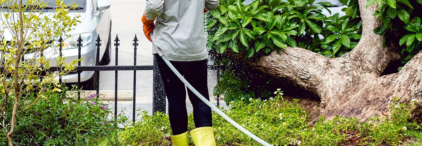 Top 10 Local Garden Maintenance in Idalia Airtasker