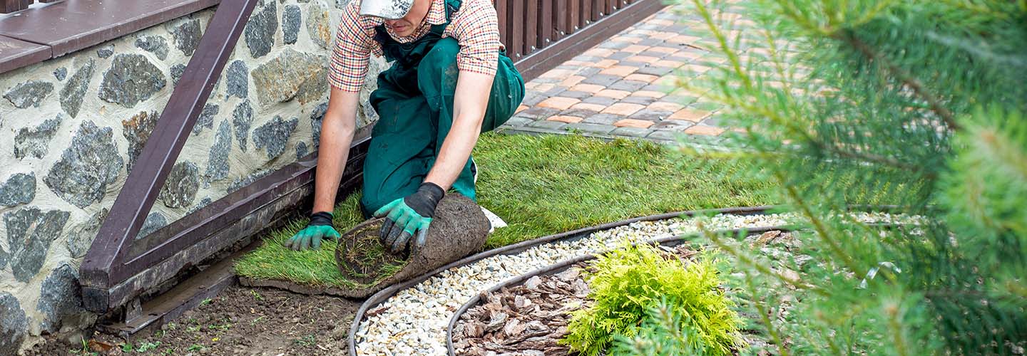 A person laying fresh green turf on a sunny day, creating a lush and vibrant lawn.