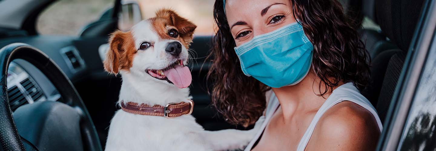 A pet taxi with a cute dog inside, ready to transport pets safely and comfortably to their destination.