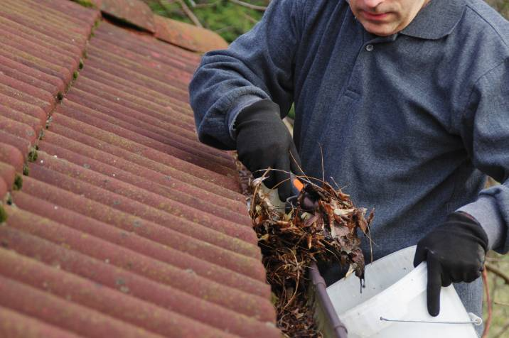 scooping leaves from a gutter