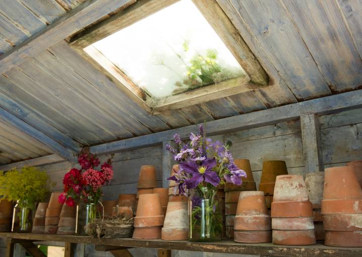 Shed skylight