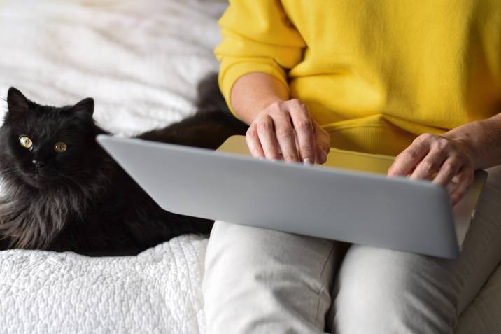 Pet blogging side hustle. Woman typing on laptop while sitting beside pet cat