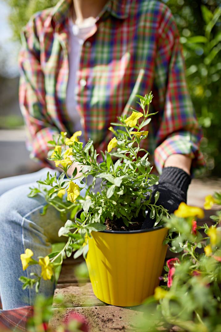 a gardener holding a potted plant