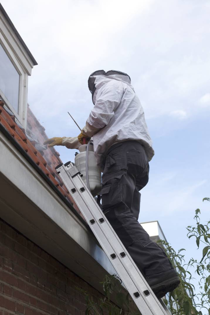 a man smoking out a wasp colony