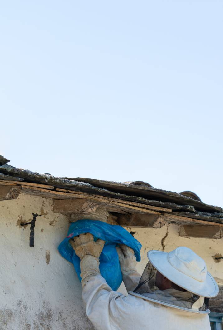 a man removing a wasp nest beneath a gutter