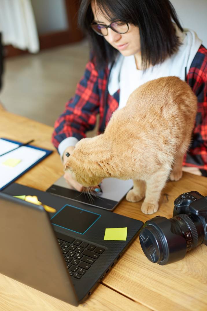 a female photographer working with a cat