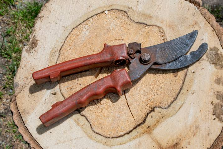a rusty pair of pruners