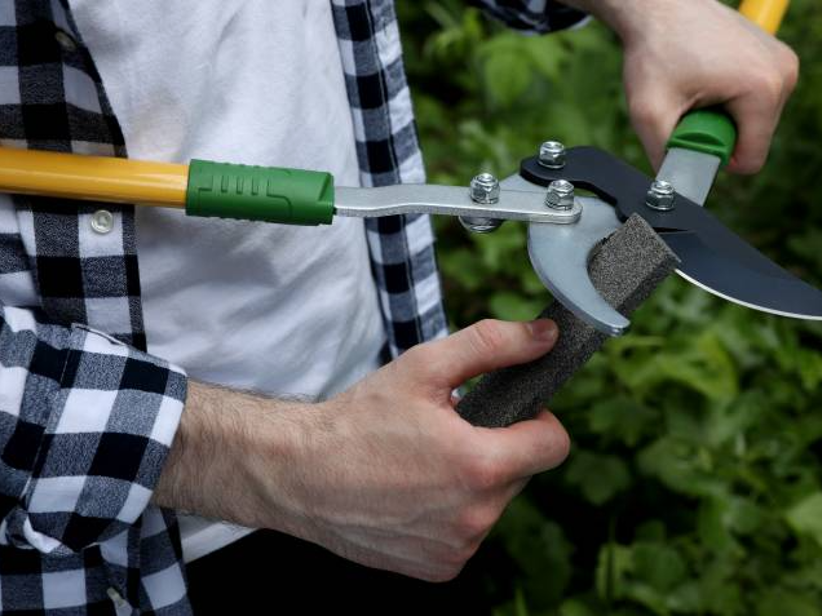 How to Maintain Pruning Knives for Sharpness: Expert Tips