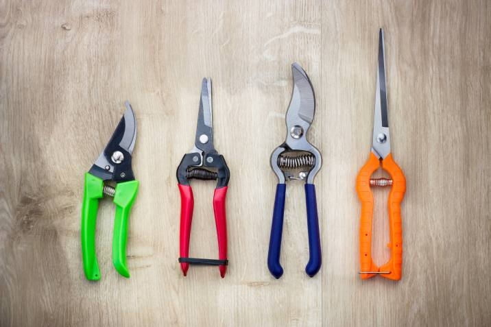 different types of secateurs