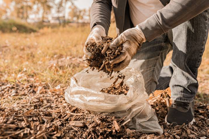 wood chip mulch