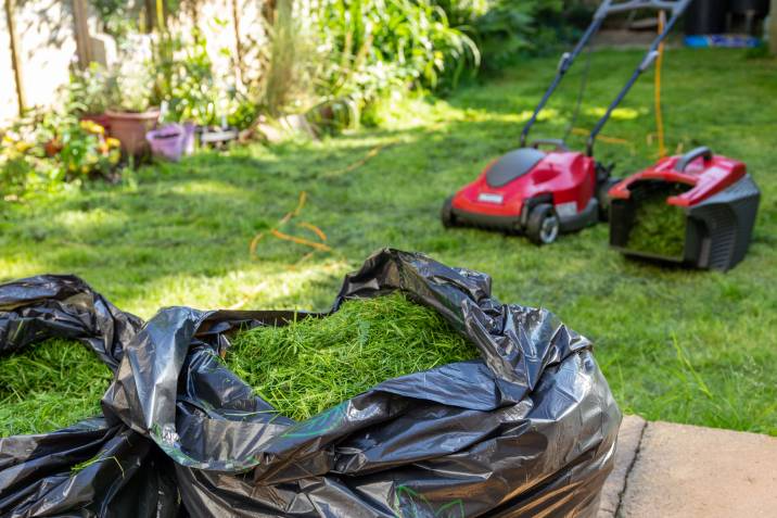 grass clippings for mulch