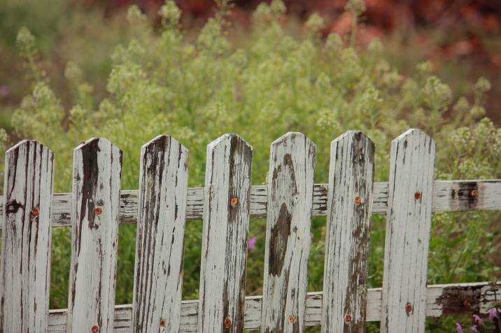 old garden fence