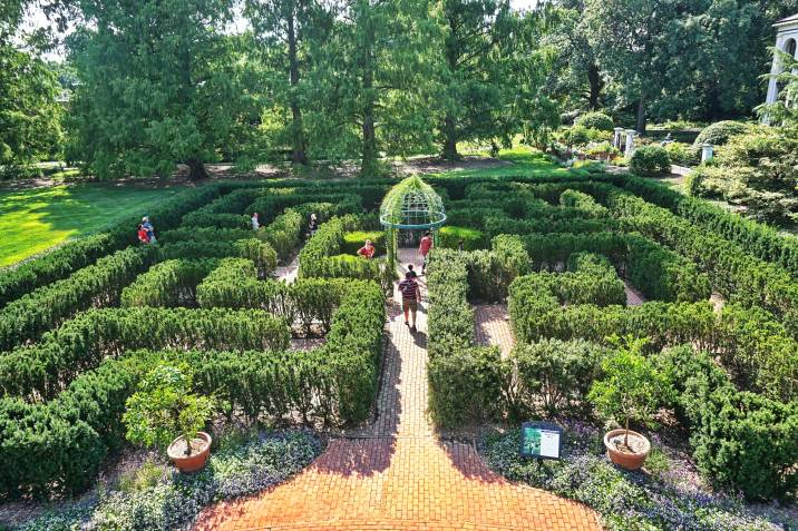 hedge maze in a garden