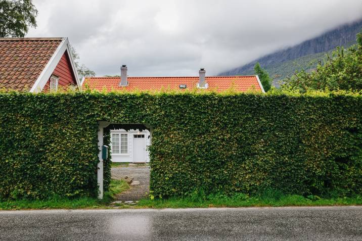 hedge wall used as entryway