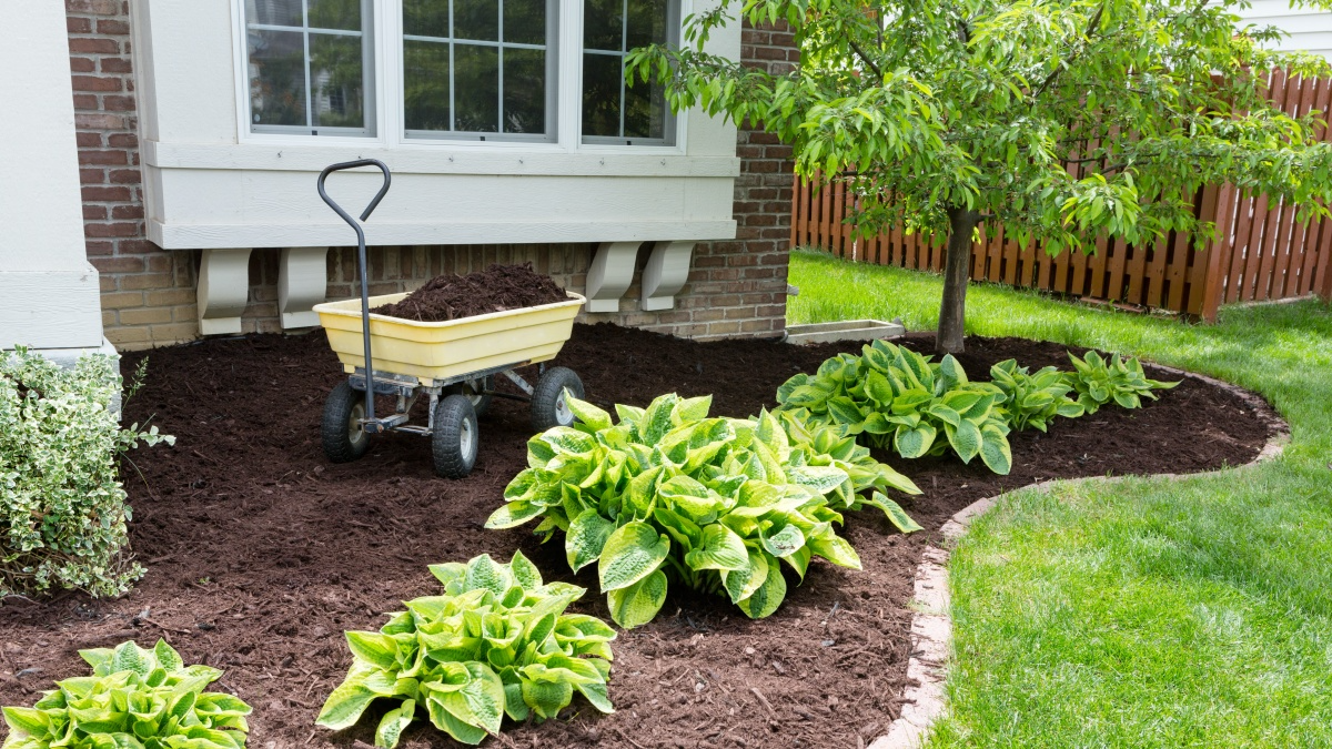 a garden cart full of mulch