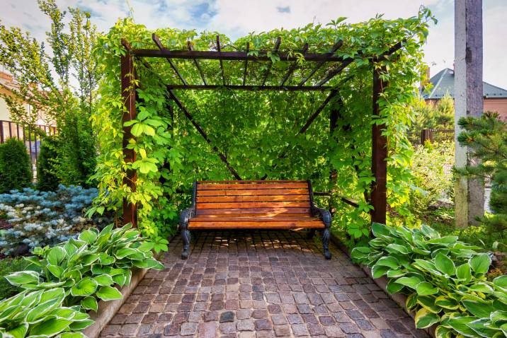 Nice landscaping with cozy canopy. Bench in arbor overgrown ivy, stone paving in garden