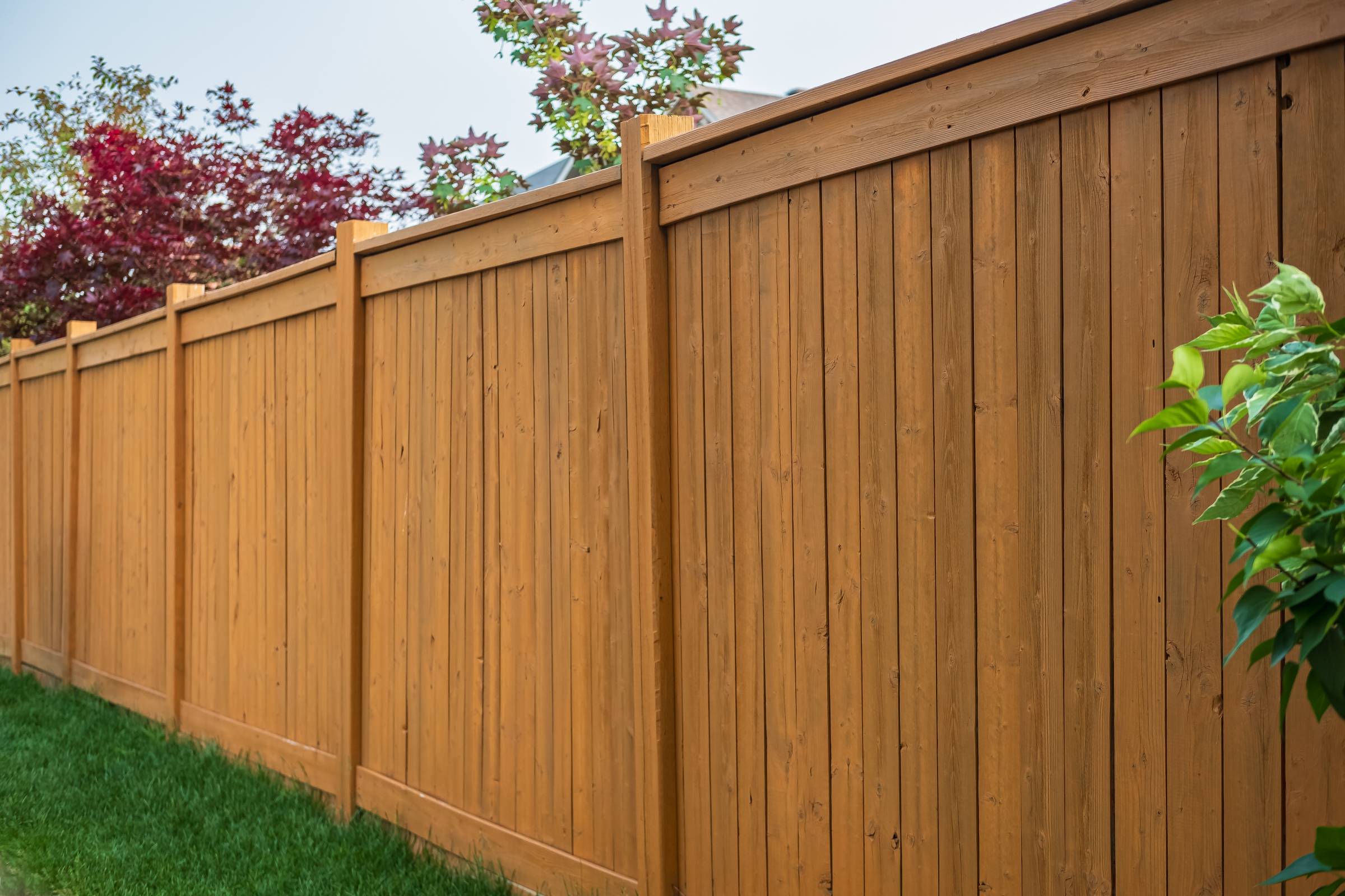 wooden privacy fence