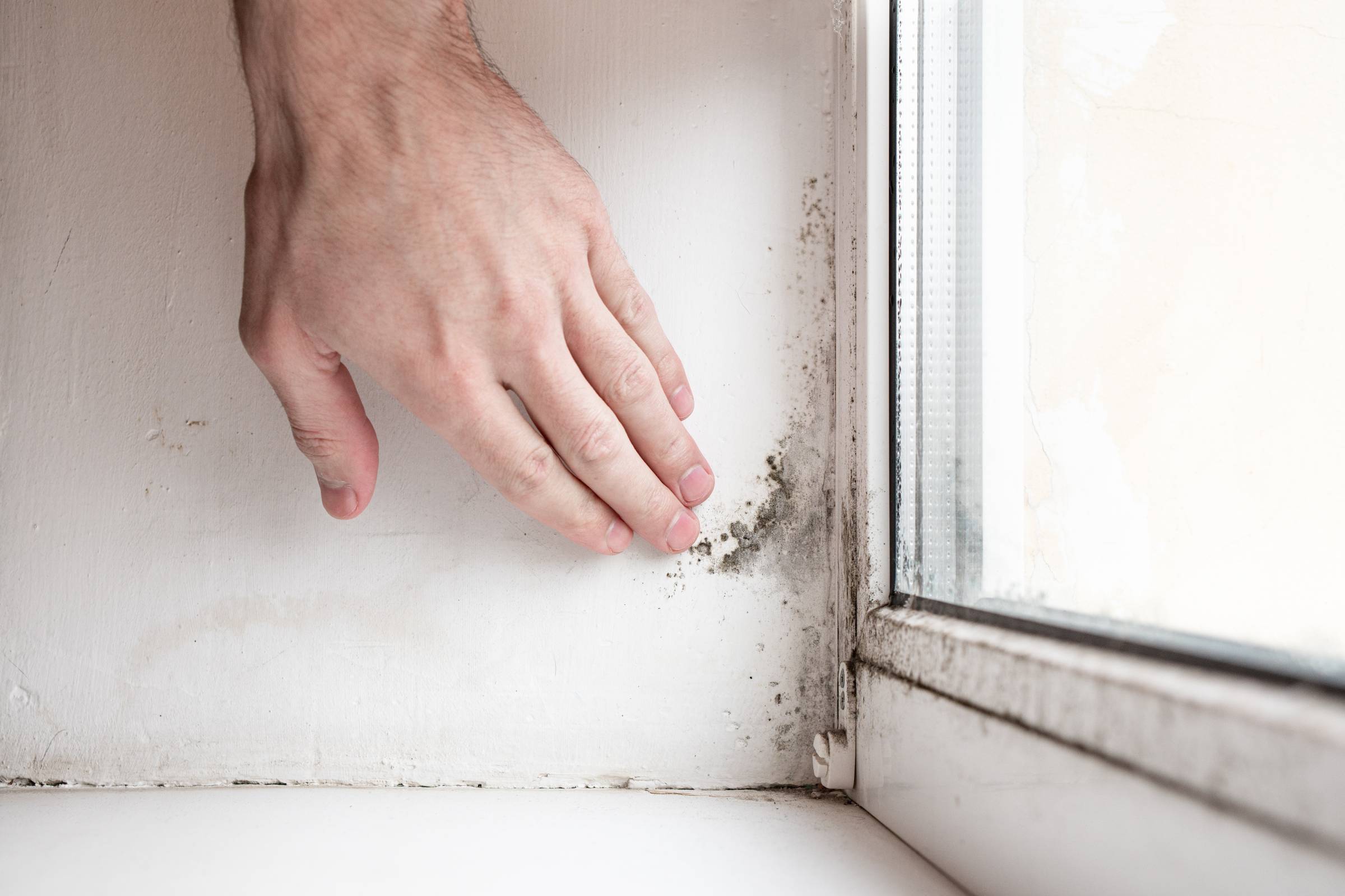 a man touching black mold